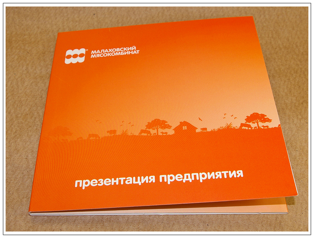 Папки из картона с цветной печатью фирменного стиля