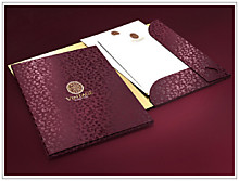 Изготовление папок из картона с тиснением Логотипа золотом